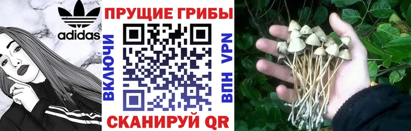 Галлюциногенные грибы Magic Shrooms  наркошоп  Псков 